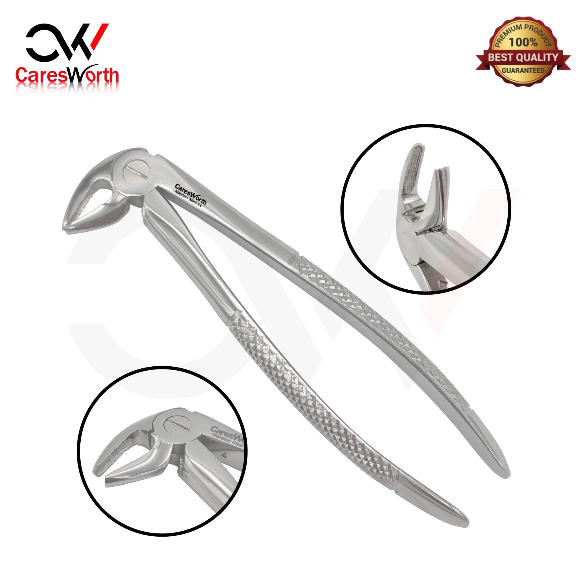Top Dentist Extraction Procedure Instruments to Separate the Tooth