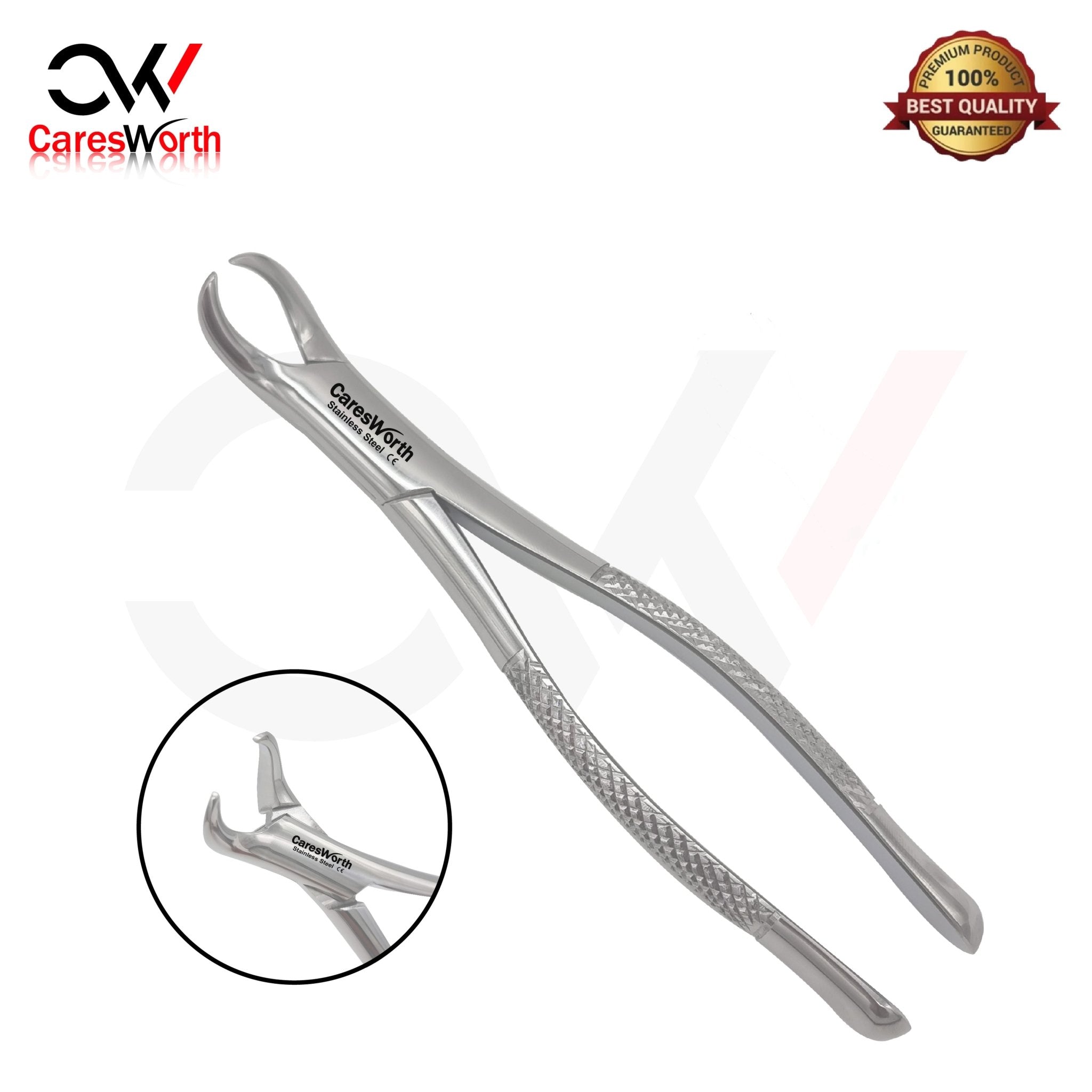 Top Dentist Extraction Procedure Instruments to Separate the Tooth